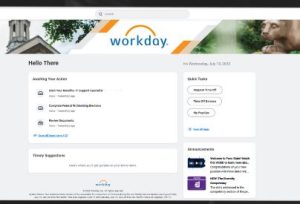 Workday Mastery: From Basics to Advanced Techniques