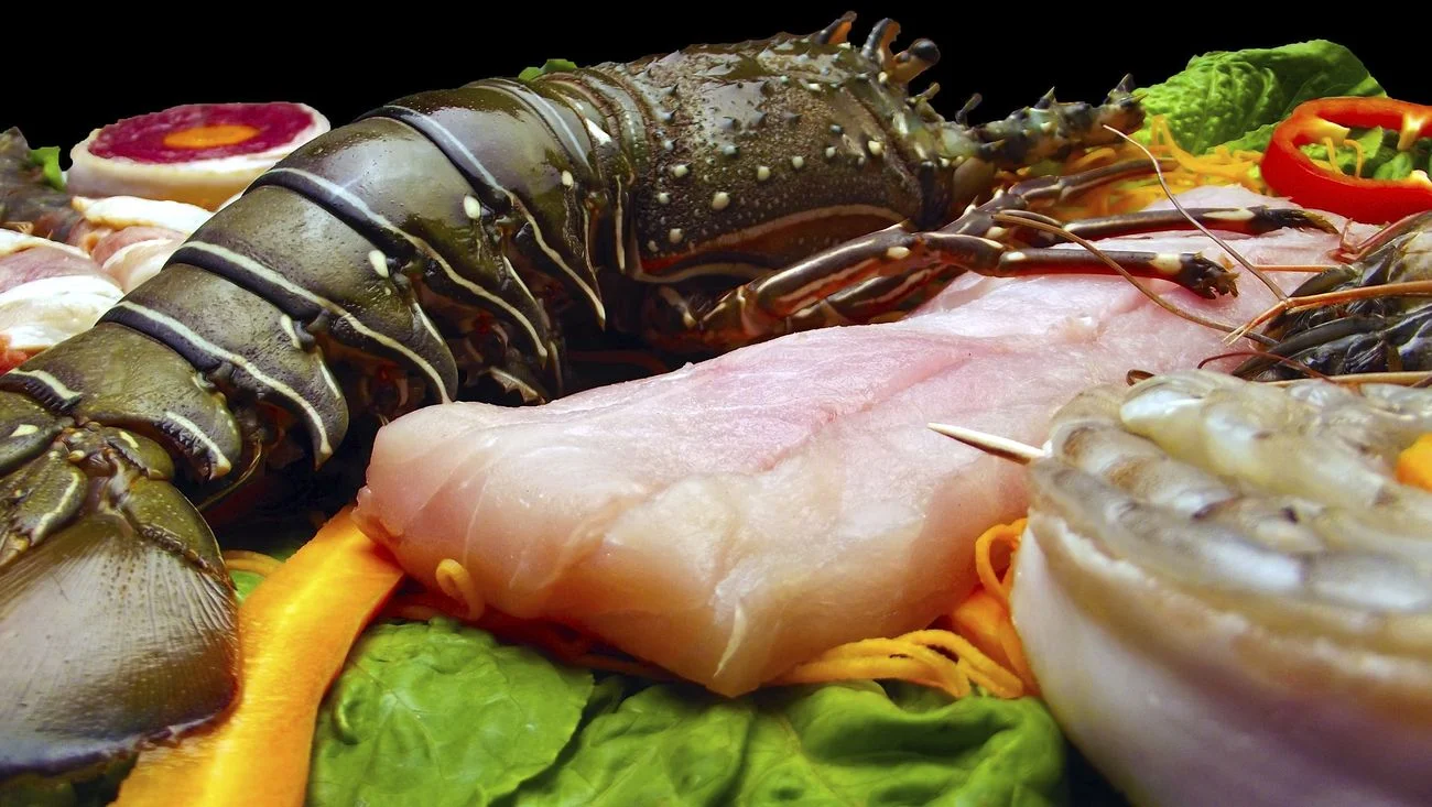 Free seafood with fish and
