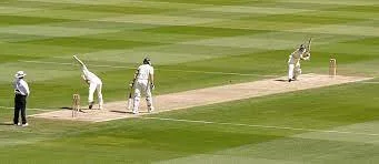 How many members are there in a cricket match?